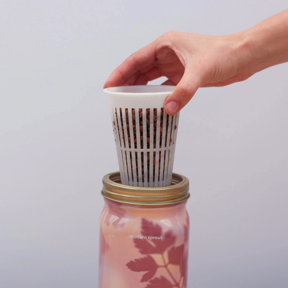 Herb Garden Jars