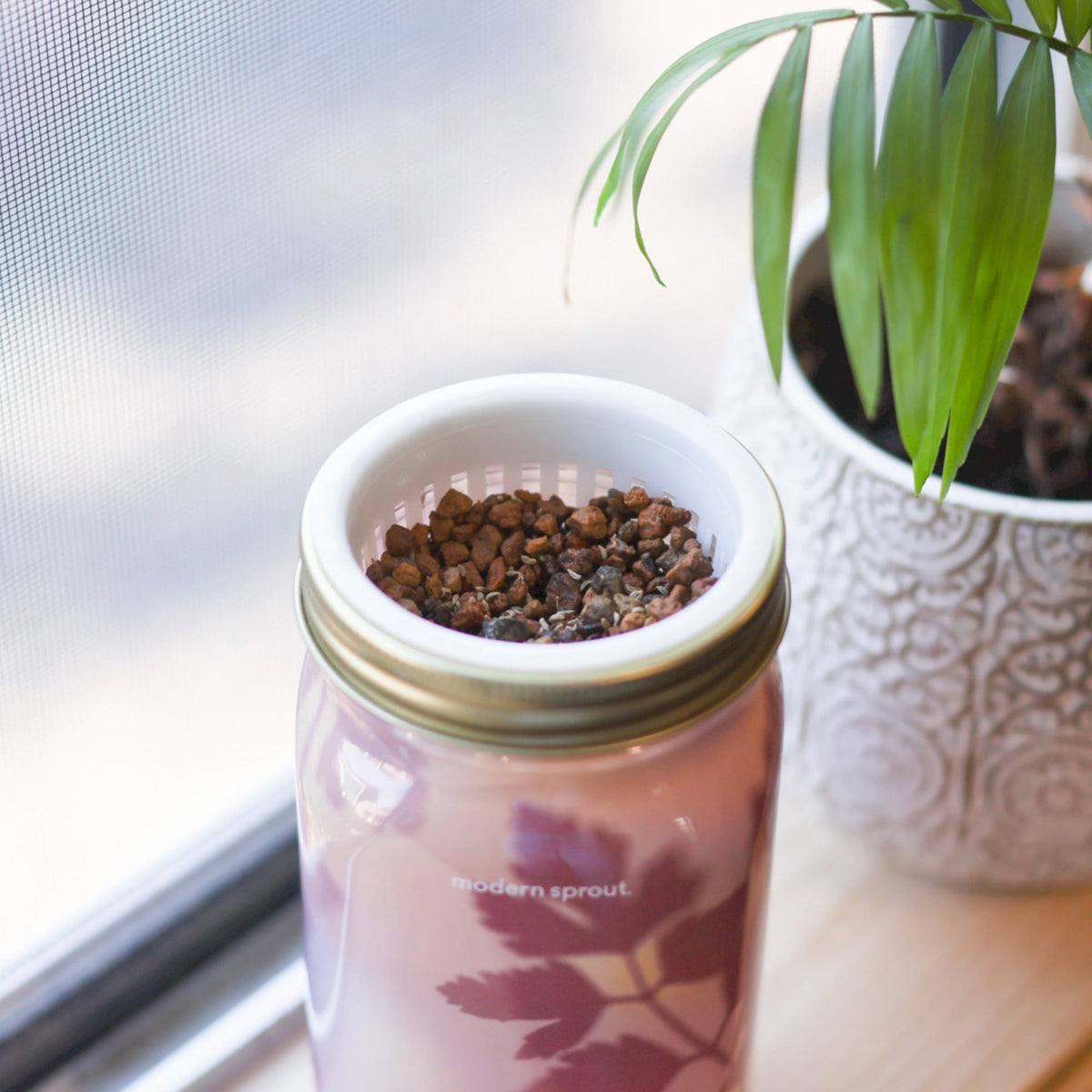 Herb Garden Jars