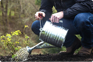 SOIL & PLANT HEALTH