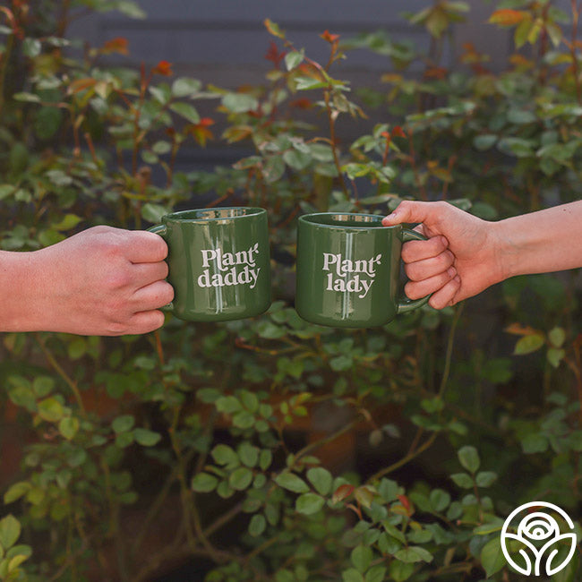Stoneware Mugs