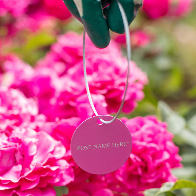 White Pet Tag