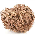 Rose of Jericho