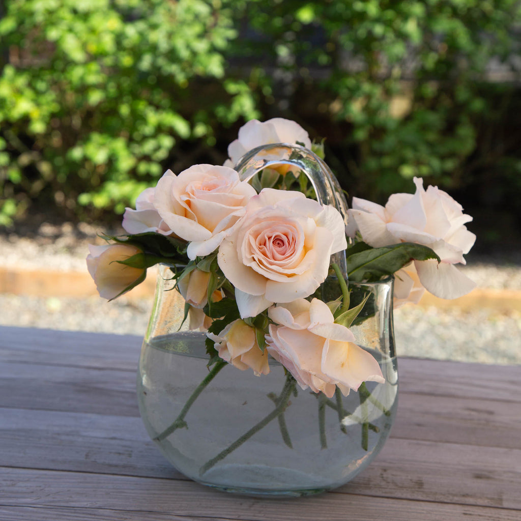 Rose of Rosalie™