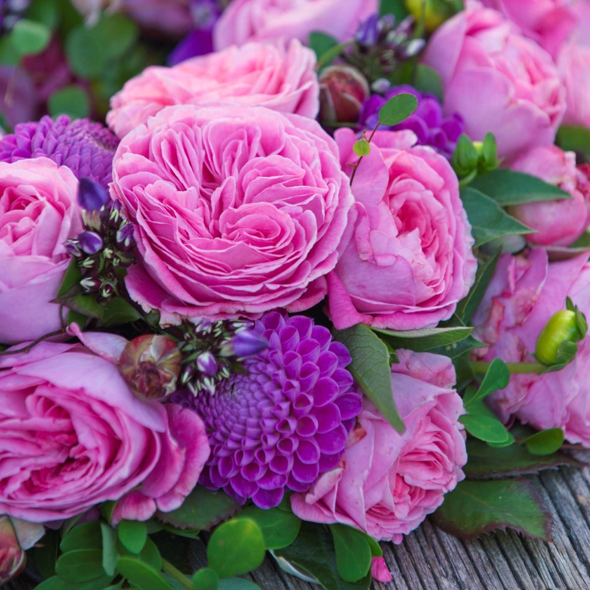 Parfuma® Summer Romance