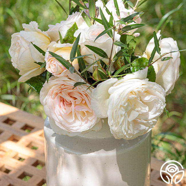 Top Cream roses with soft white and blush petals in a vase