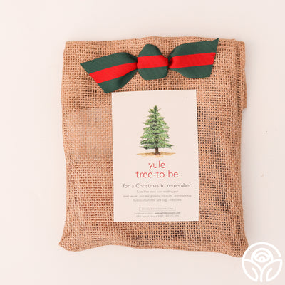 Yule Tree-To-Be Gift Set