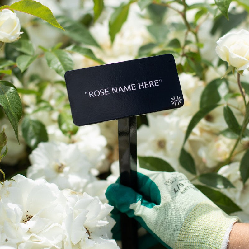 Dmitri™ Garden Marker