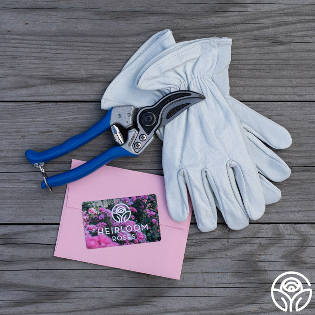 gardening gloves gift set Bloom & Prune Gift Set – Heirloom