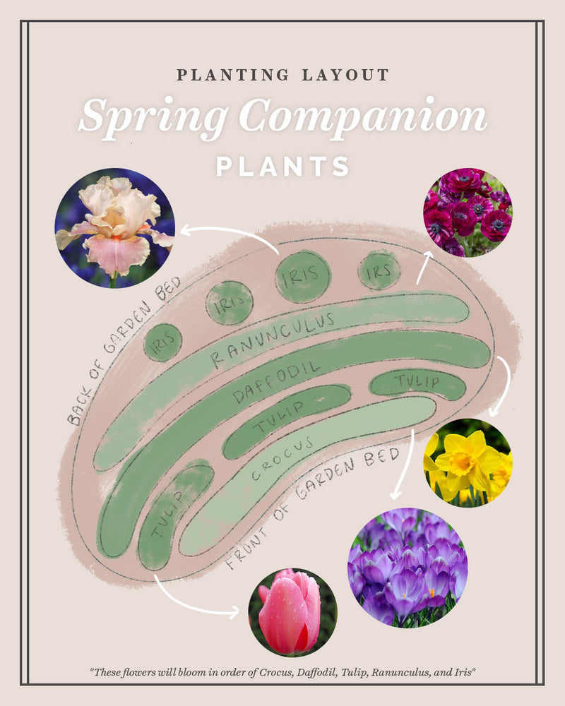 Continuous Bloom Spring Colors Bundle