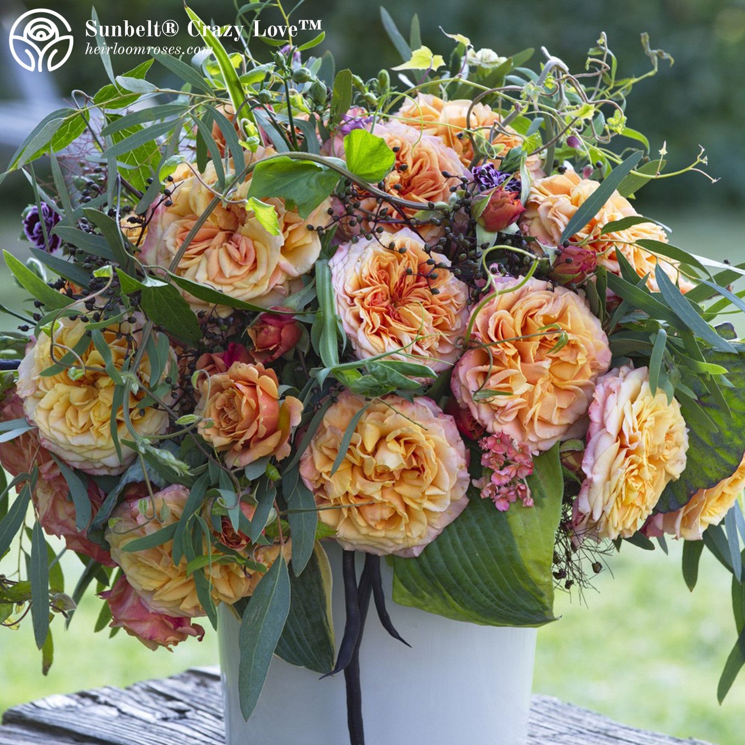 Vibrant Bouquet Collection – Heirloom Roses