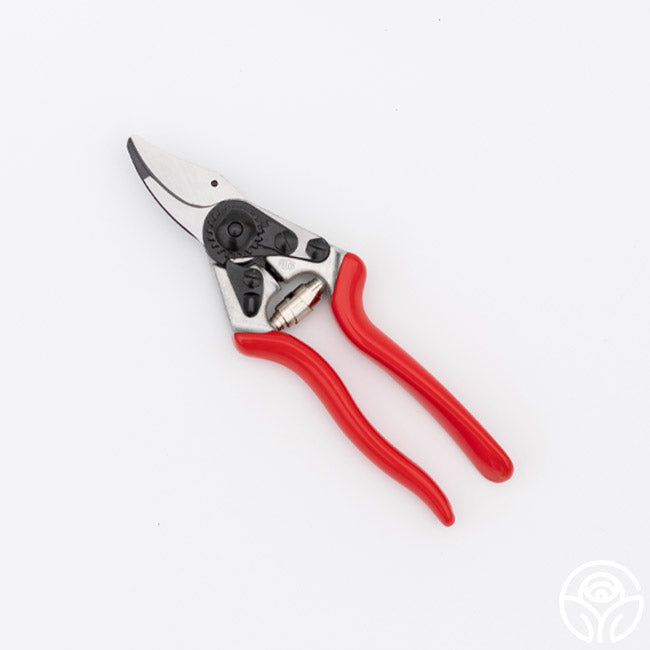 Felco 6 Pruners