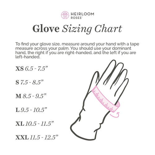 Goat Hide Outdoor Glove