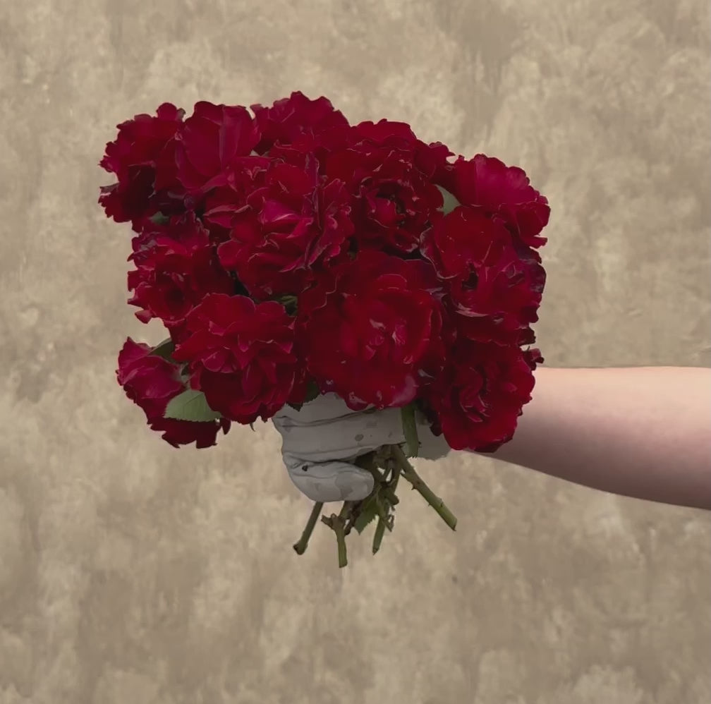 Dancing in the Dark®