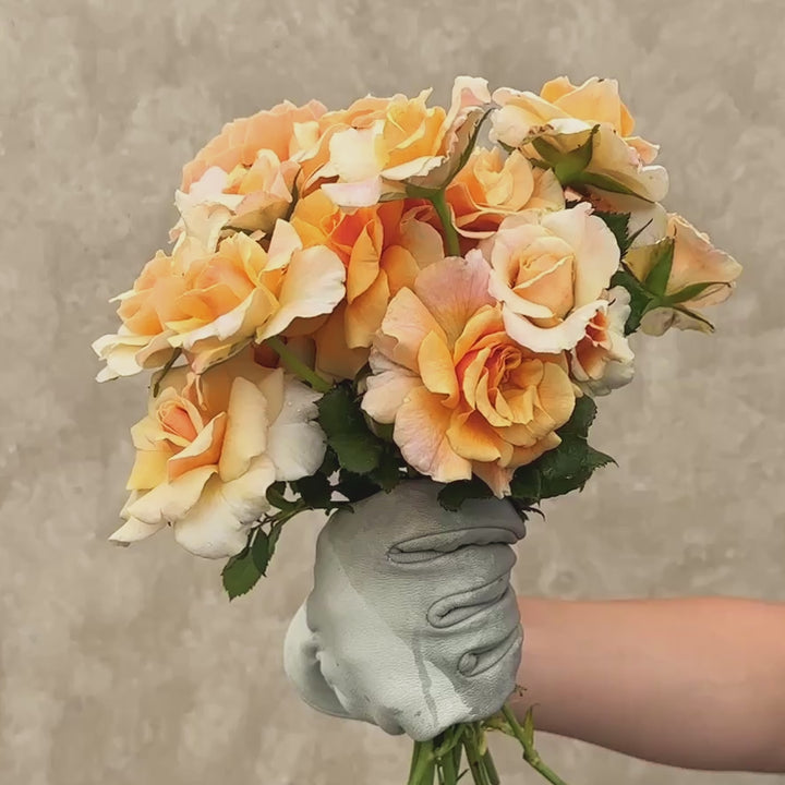 Glowing Inspiration™