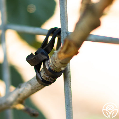 plant ties for trellis LoopLock Garden Ties