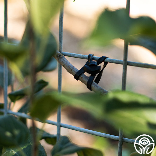 plant ties for trellis LoopLock Garden Ties