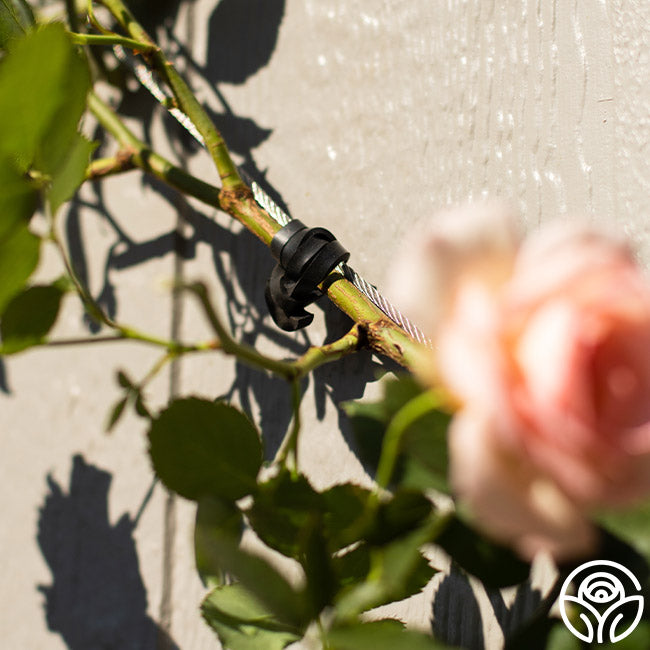plant ties for trellis LoopLock Garden Ties