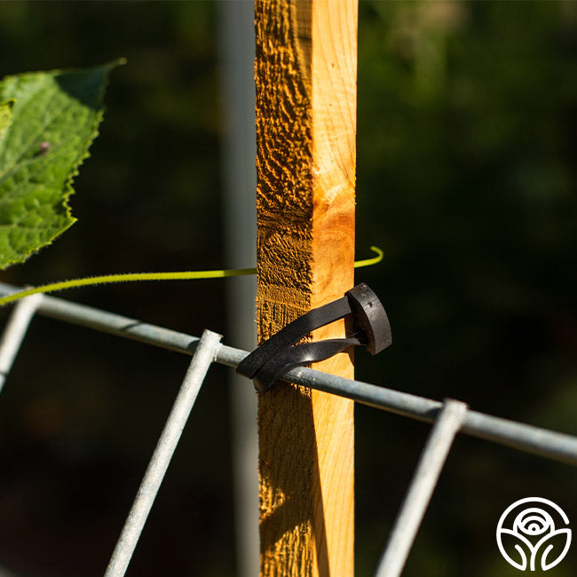 LoopLock Garden Ties™