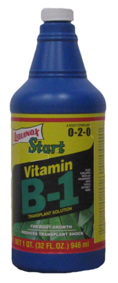 Vitamin B-1 Transplant and Starter Solution