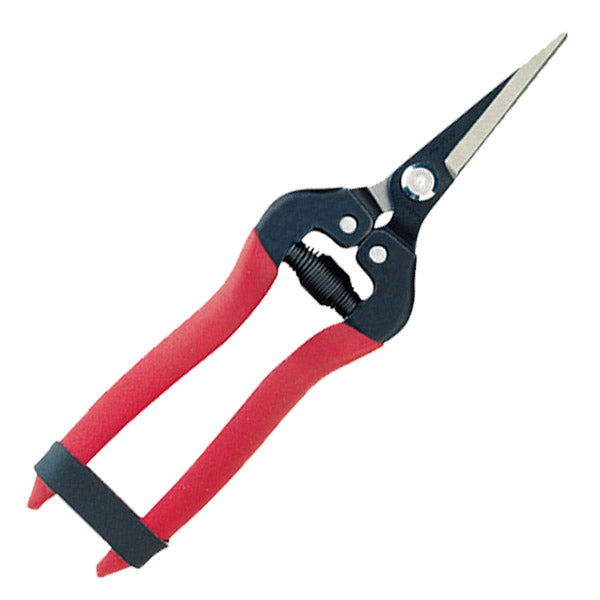 Needle Nose Straight Shear 7 Inch Pruners