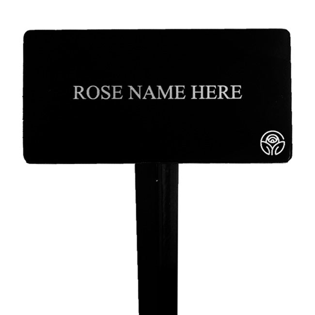 Karl Ploberger Rose Stake