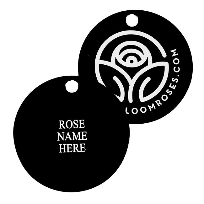 Porcelain Rose Tag